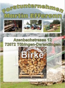 Birkenholz Brennholzhandlung Tübingen | Forstunternehmen Martin Efferenn