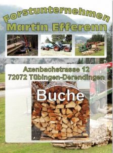 Buchenholz Brennholzhandlung Tübingen | Forstunternehmen Martin Efferenn