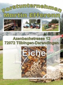 Eichenholz Brennholzhandlung Tübingen | Forstunternehmen Martin Efferenn