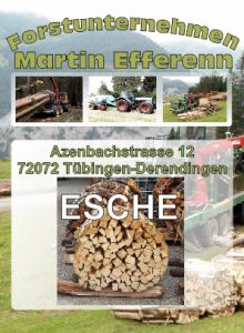 Eschenholz Brennholzhandlung Tübingen | Forstunternehmen Martin Efferenn